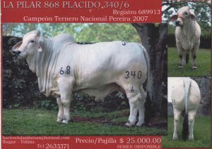 la-pilar-placido-340-6