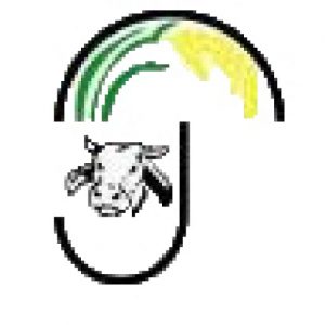 cropped-logo.jpg